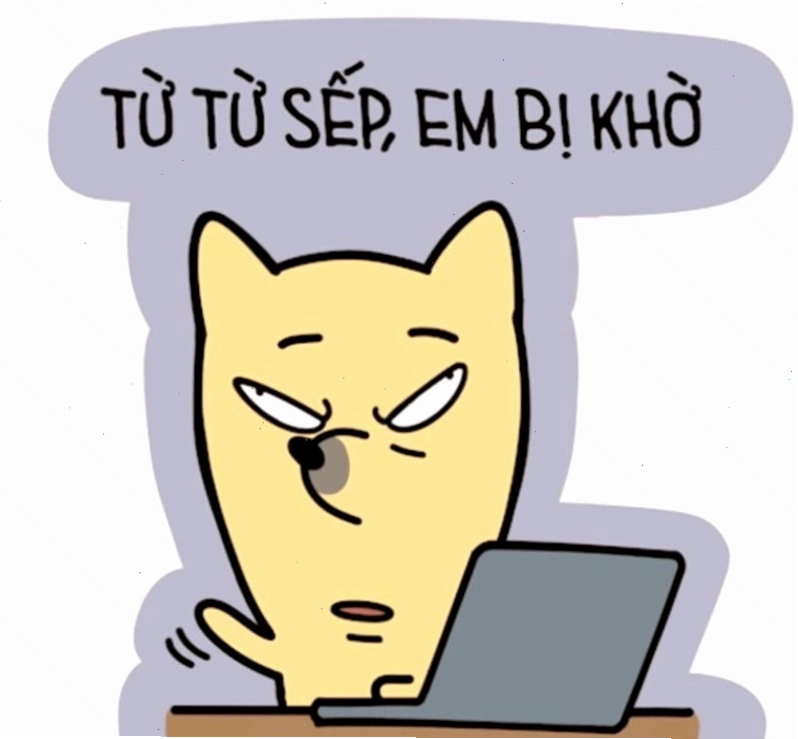Hình nền meme hài hước về cuộc họp