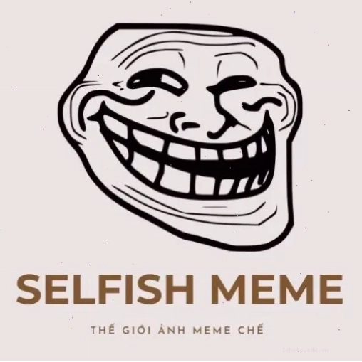 Logo The Selfish Meme