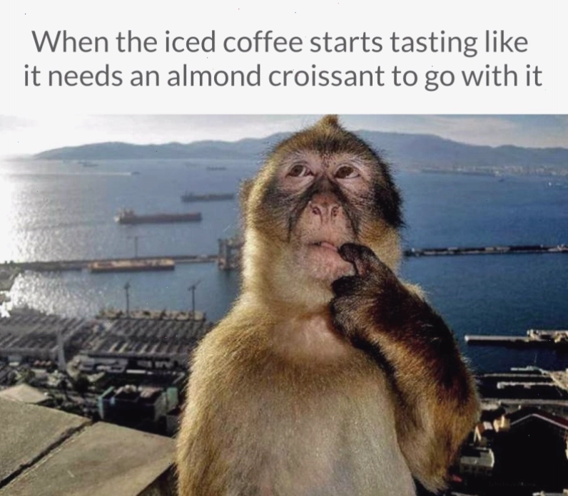 Mẫu template Monkey Thinking Meme gốc với hình ảnh chú khỉ suy ngẫm