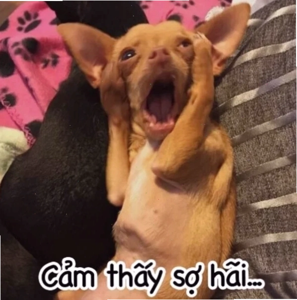 Meme chú chó ôm đầu suy tư