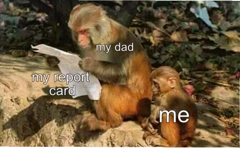 Meme chú khỉ nhỏ quan sát chú khỉ lớn đọc giấy