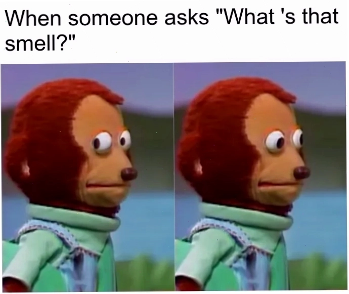 Meme chú khỉ với biểu cảm ngượng nghịu, suy tư