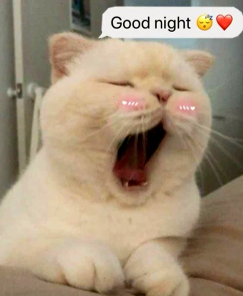 Meme chúc ngủ ngon hình em bé đang say giấc nồng