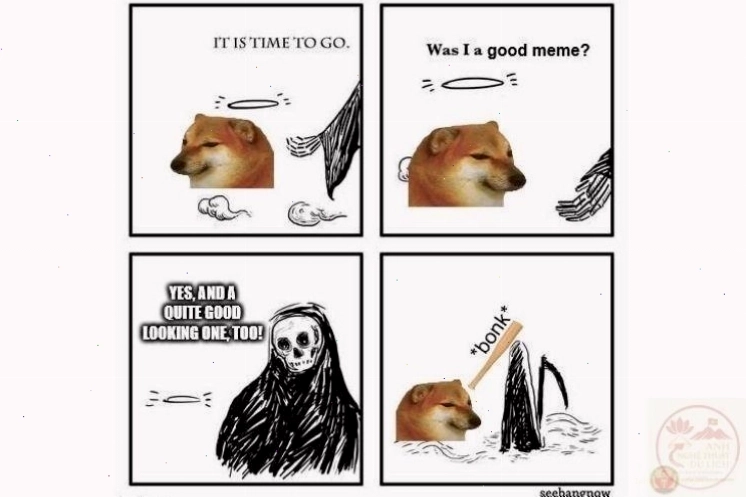 Meme động vật hài hước với các loài vật khác nhau