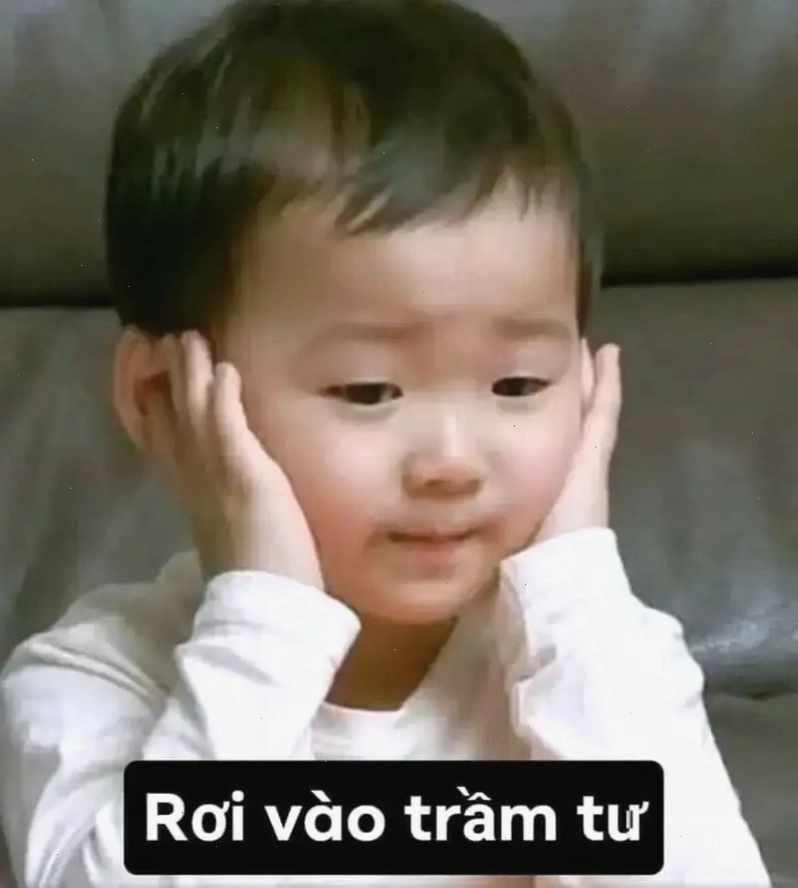 Meme gấu trúc đắm chìm trong suy ngẫm