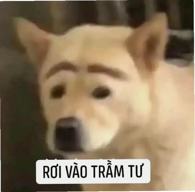 Meme gấu trúc trầm tư