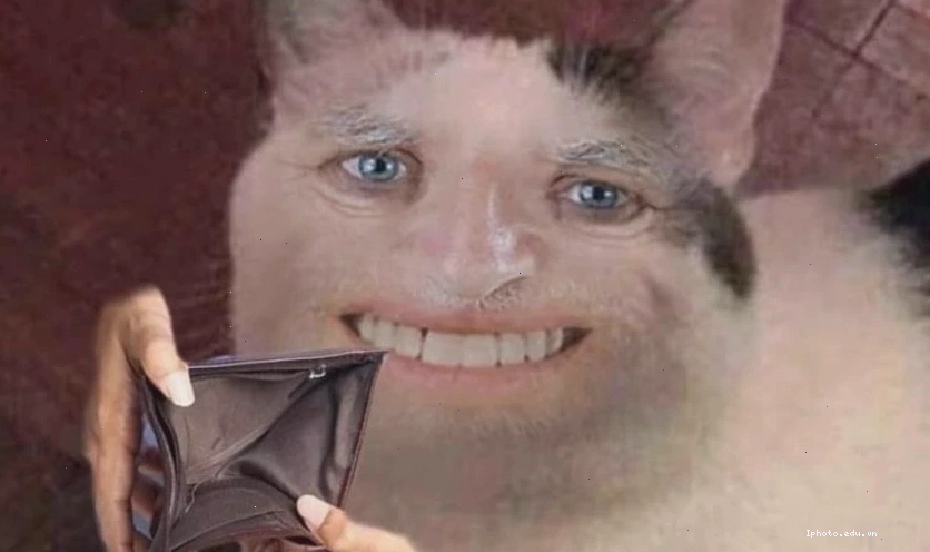 Meme hài bựa với biểu cảm khó đỡ