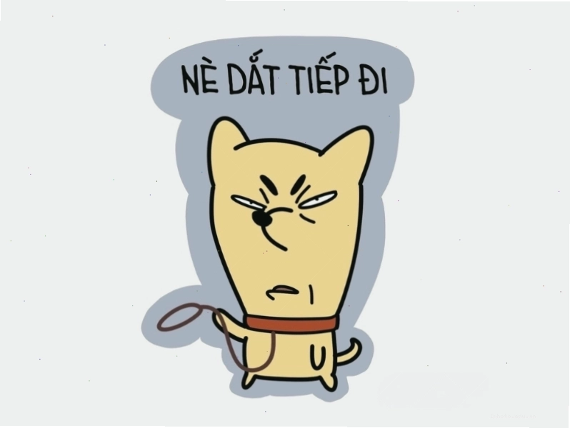 Meme hài hước với biểu cảm bất ngờ