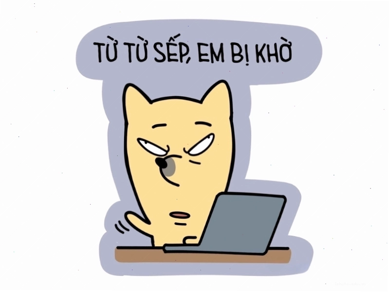 Meme hài về sếp và nhân viên