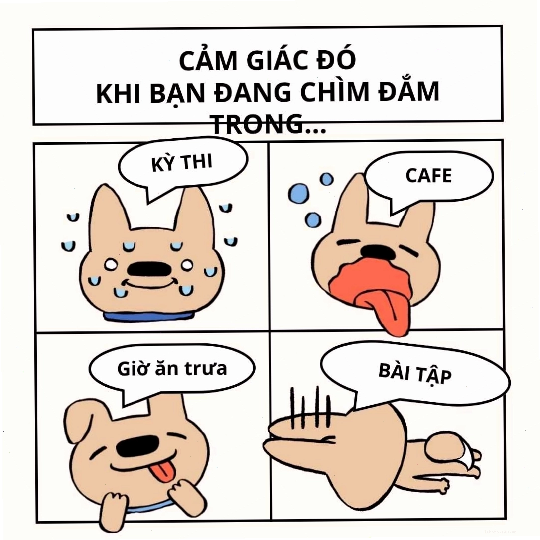 Meme khóc cười thể hiện nhiều cung bậc cảm xúc