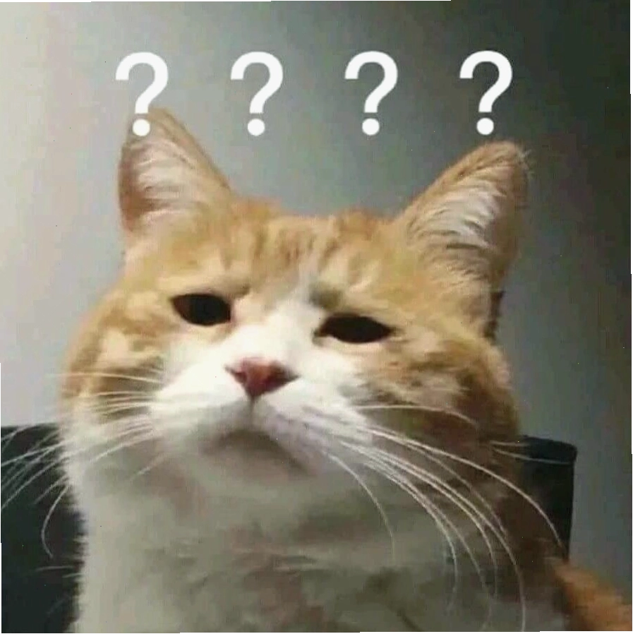 Meme mèo buồn khi bị bỏ đói