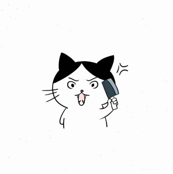 Meme mèo cầm dao với biểu cảm khó đỡ