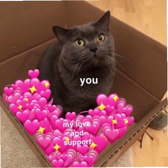 Meme mèo dễ thương gửi lời cảm ơn chân thành