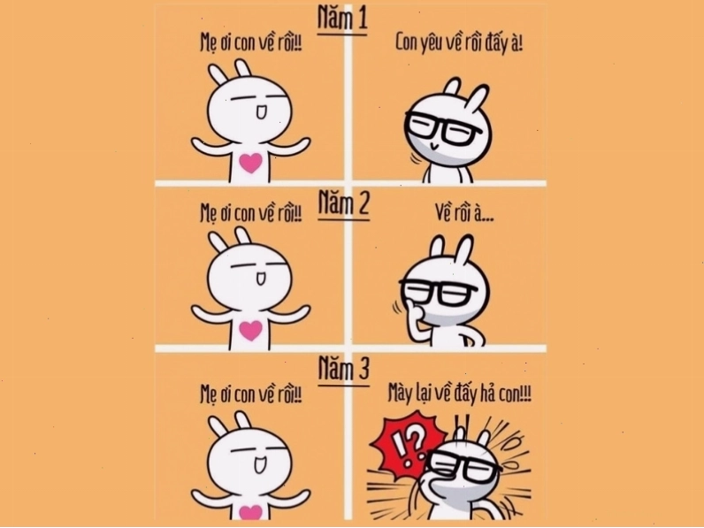 Meme thái độ phụ huynh với con đại học