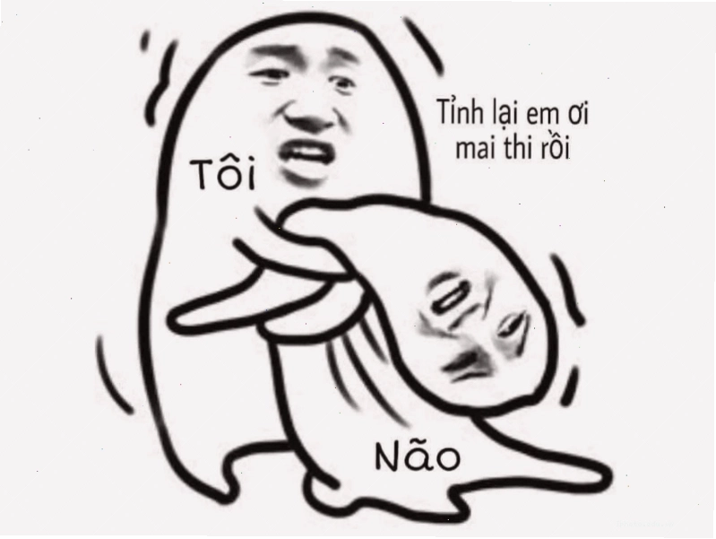 Meme về não bộ khi chuẩn bị thi