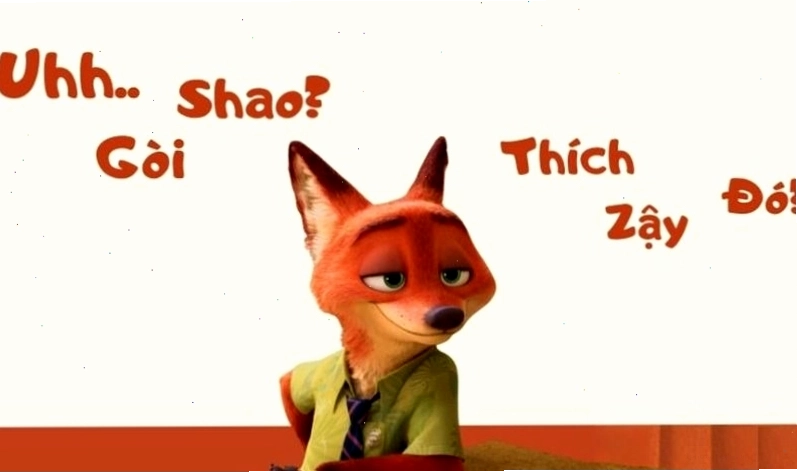 Meme "vô tri" với biểu cảm khó hiểu