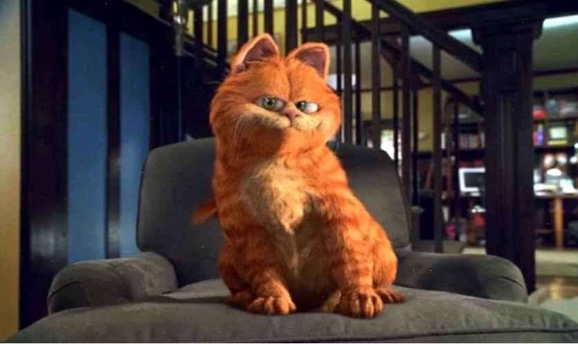 Mèo đen anime tinh nghịch đang chơi đùa