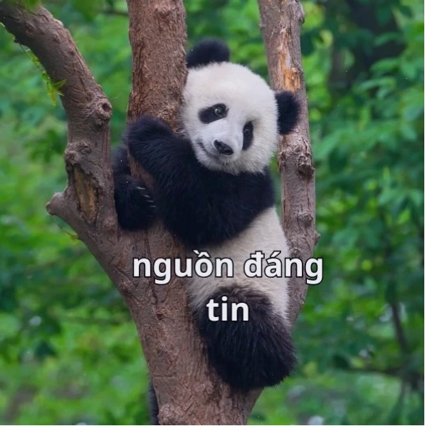 Nguồn đáng tin meme