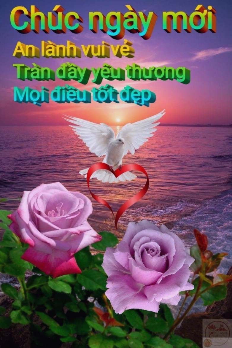Niềm vui khi nhận được meme chào buổi sáng