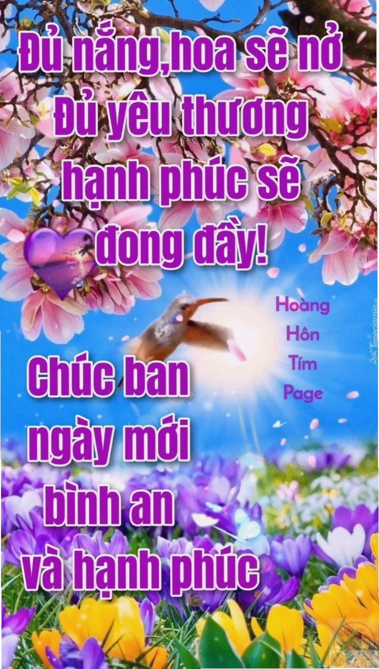 Nụ cười rạng rỡ khởi đầu ngày mới cùng meme