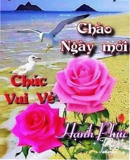 Thông điệp ý nghĩa trong meme chào ngày mới