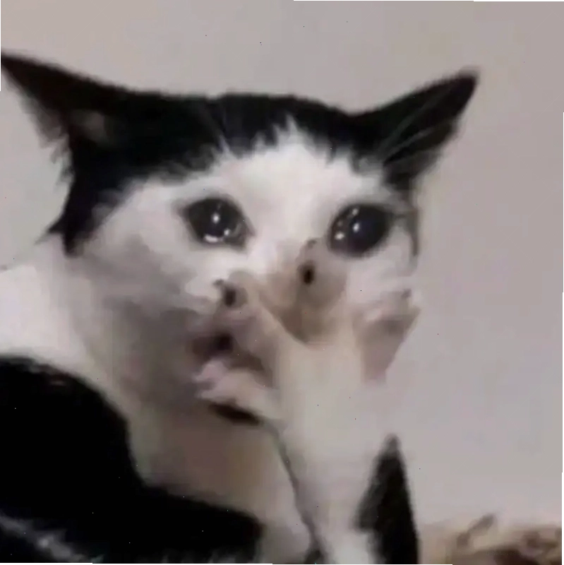 Tổng hợp ảnh meme trầm cảm hài hước