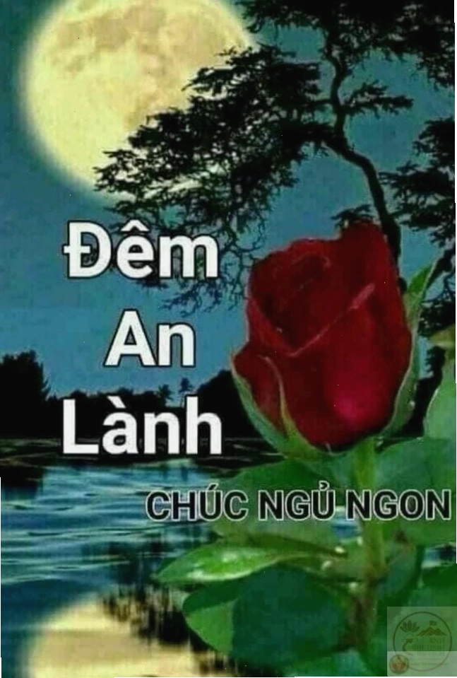 Trà nóng và meme chào buổi sáng cho khởi đầu ngày mới