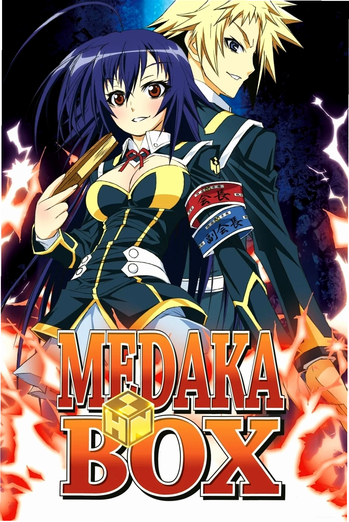 Cá Medaka màu đen tuyền đầy bí ẩn