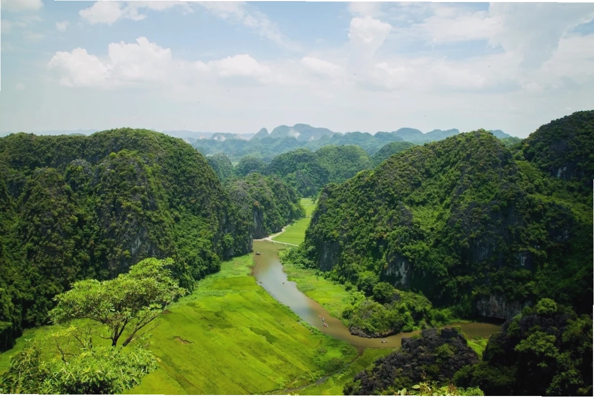 Diệp Tâm Hạ thể hiện sự quyết tâm