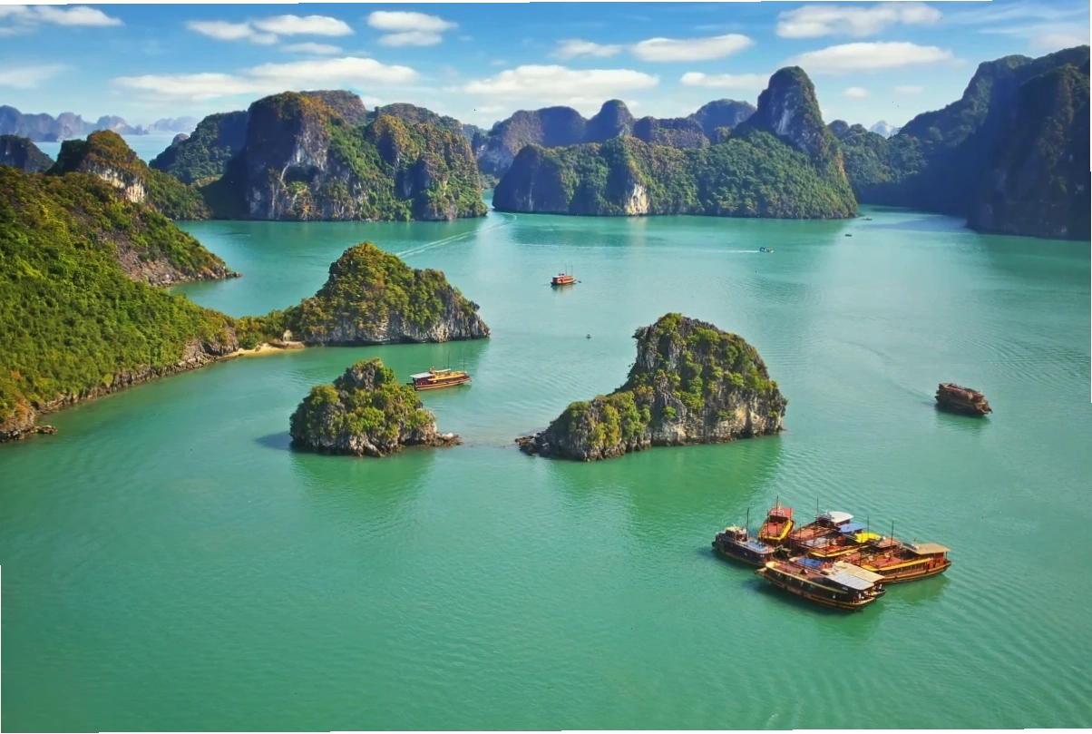 Diệp Tâm Hạ và Mạc Phàm