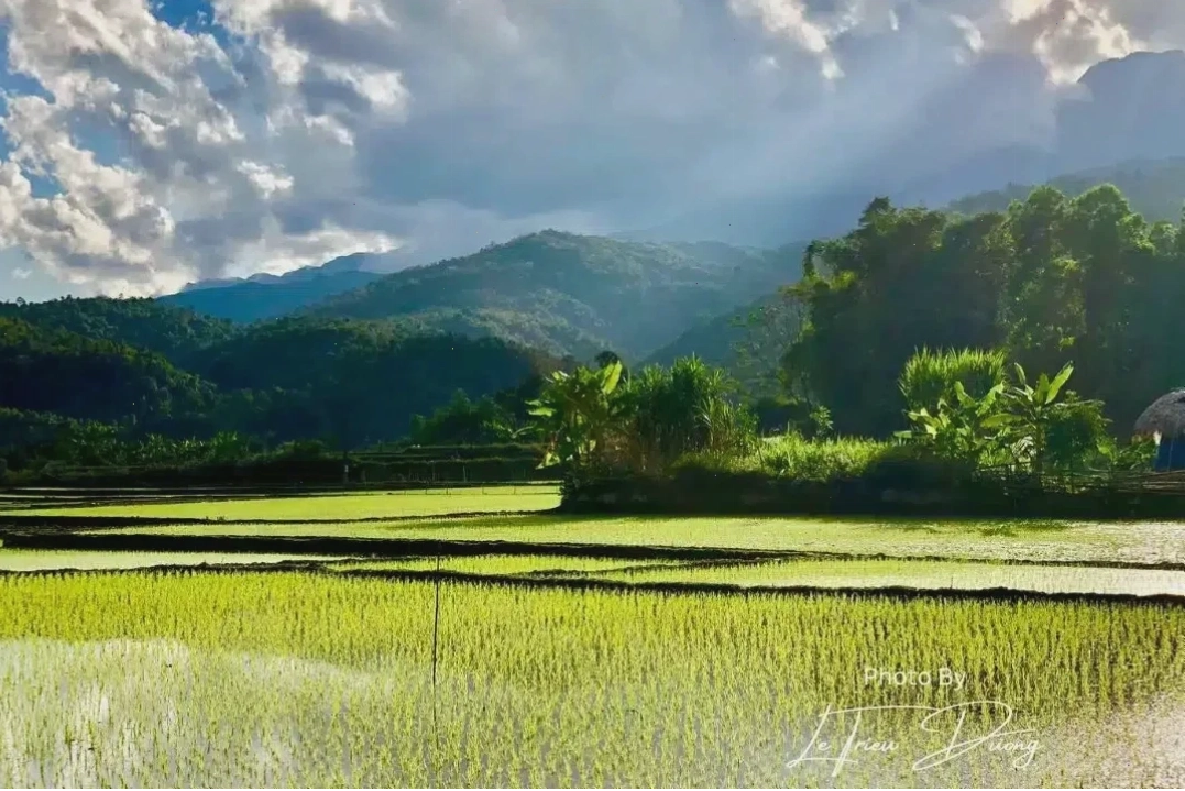 Đường Tam và Tiểu Vũ