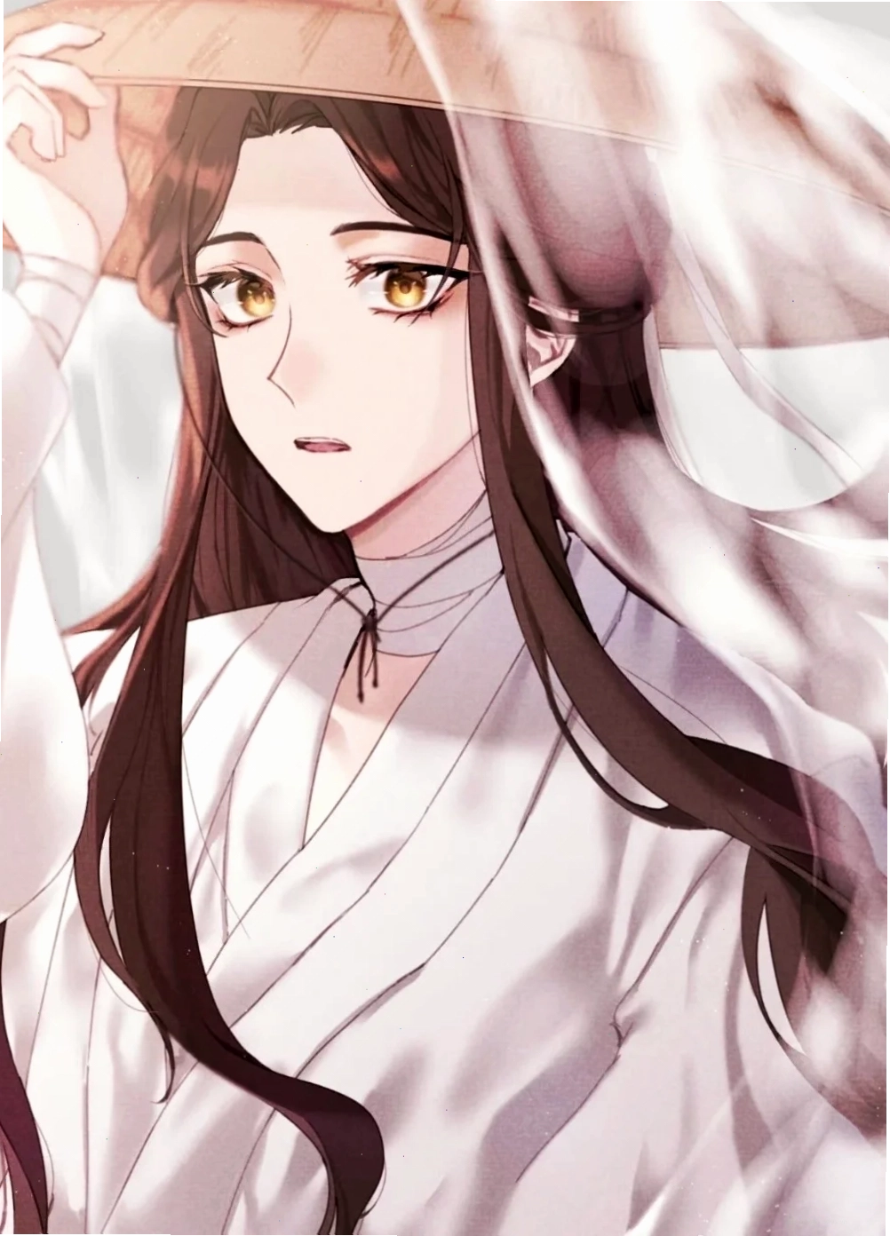Fanart Tạ Liên