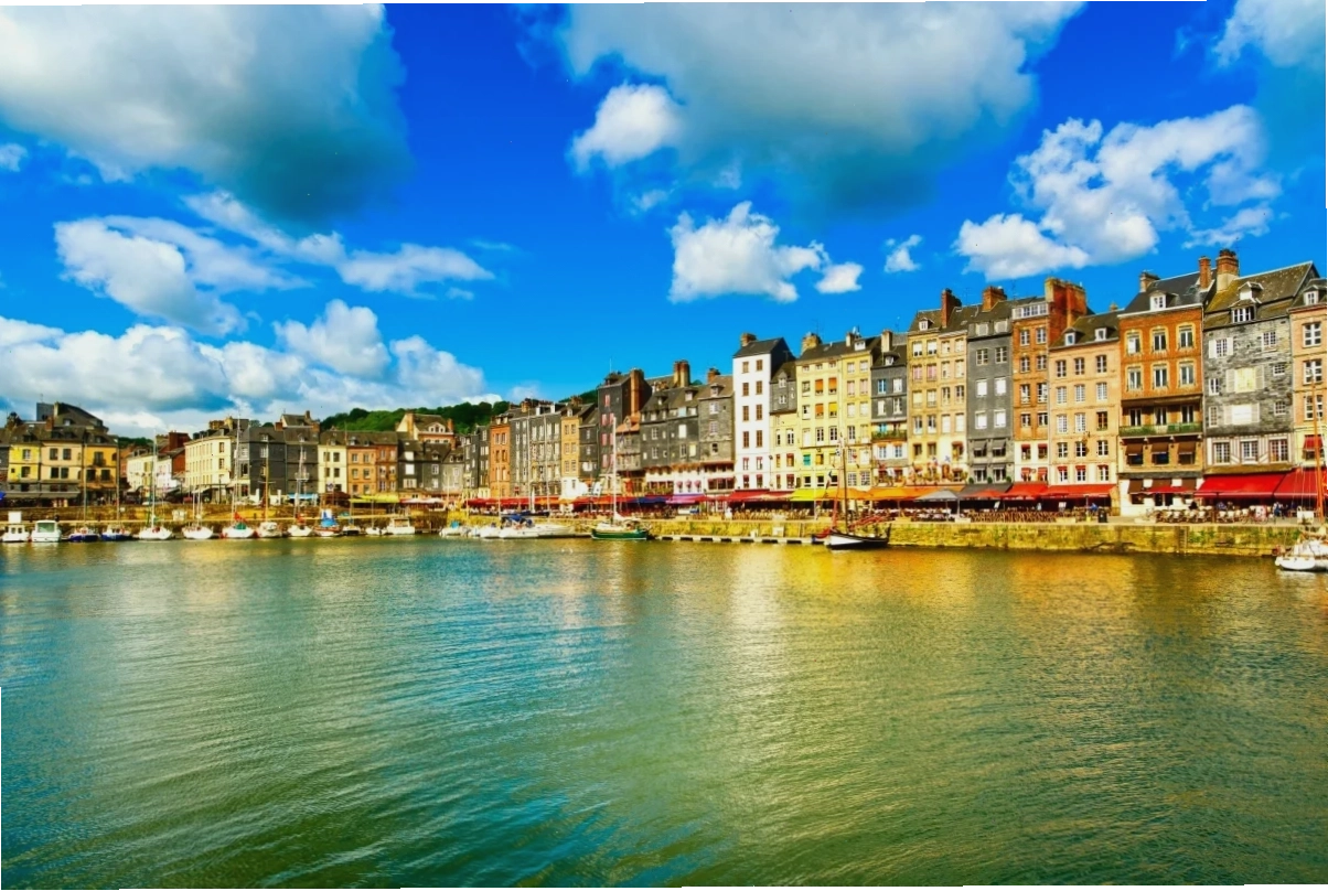 Món Gà Nấu Kiểu Normandy với Calvados