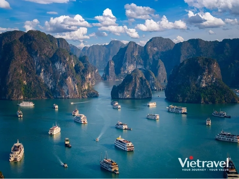 Nét đẹp dịu dàng của Diệp Tâm Hạ