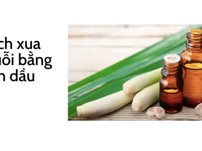 Trải nghiệm cách đuổi muỗi trong phòng ngủ an toàn nhất