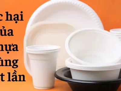 Tác hại của nhựa dùng một lần đe dọa sức khỏe người