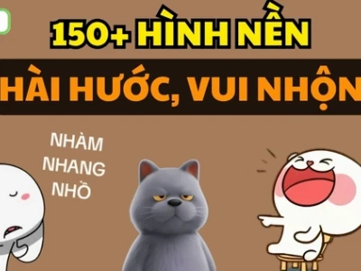 99+ Hình Nền Máy Tính Meme Độc Đáo Cho Dân Văn Phòng 2026