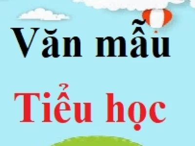 Khám phá Doraemon: Chú mèo máy bạn thân của mọi nhà