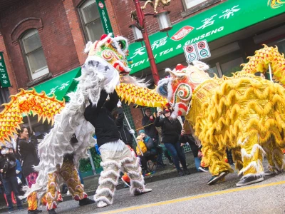 Khám phá Vũ điệu Rồng (Dragon Dance): Ý nghĩa, Lịch sử và Cách biểu diễn