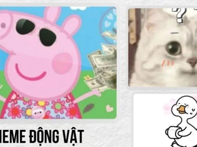 Meme động vật: Khám phá thế giới ảnh chế hài hước và đáng yêu