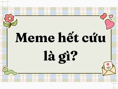 Meme Hết Cách: Những Hình Ảnh Biểu Cảm Bó Tay Đầy Hài Hước