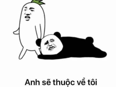 Meme ôm chân: Biểu cảm níu kéo hài hước và đáng yêu 2026