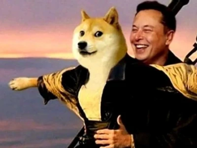 Tổng hợp hình nền máy tính meme độc đáo cho dân văn phòng 2026